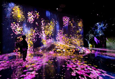 Immersive Experience .